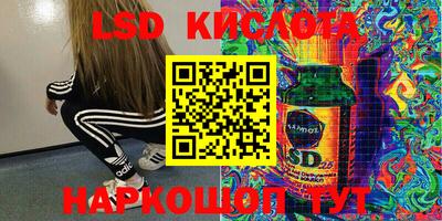 гашик Краснознаменск